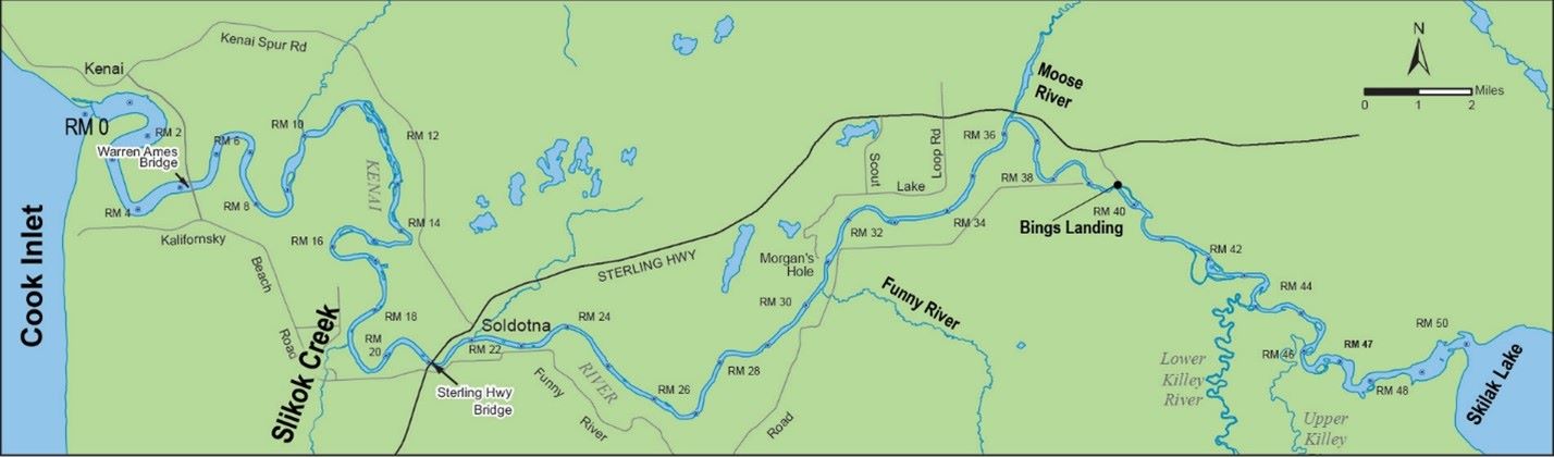 Kenai River Early-Run King Salmon Sport Fishery is Closed